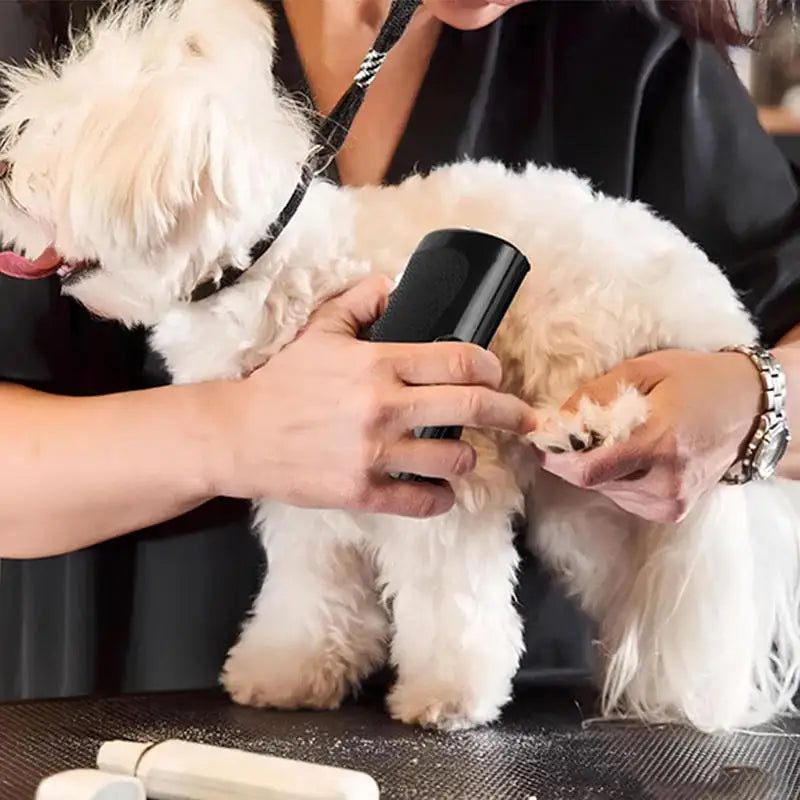 Spazzola Professionale 2-in-1: Addio Nodi e Peli in Eccesso